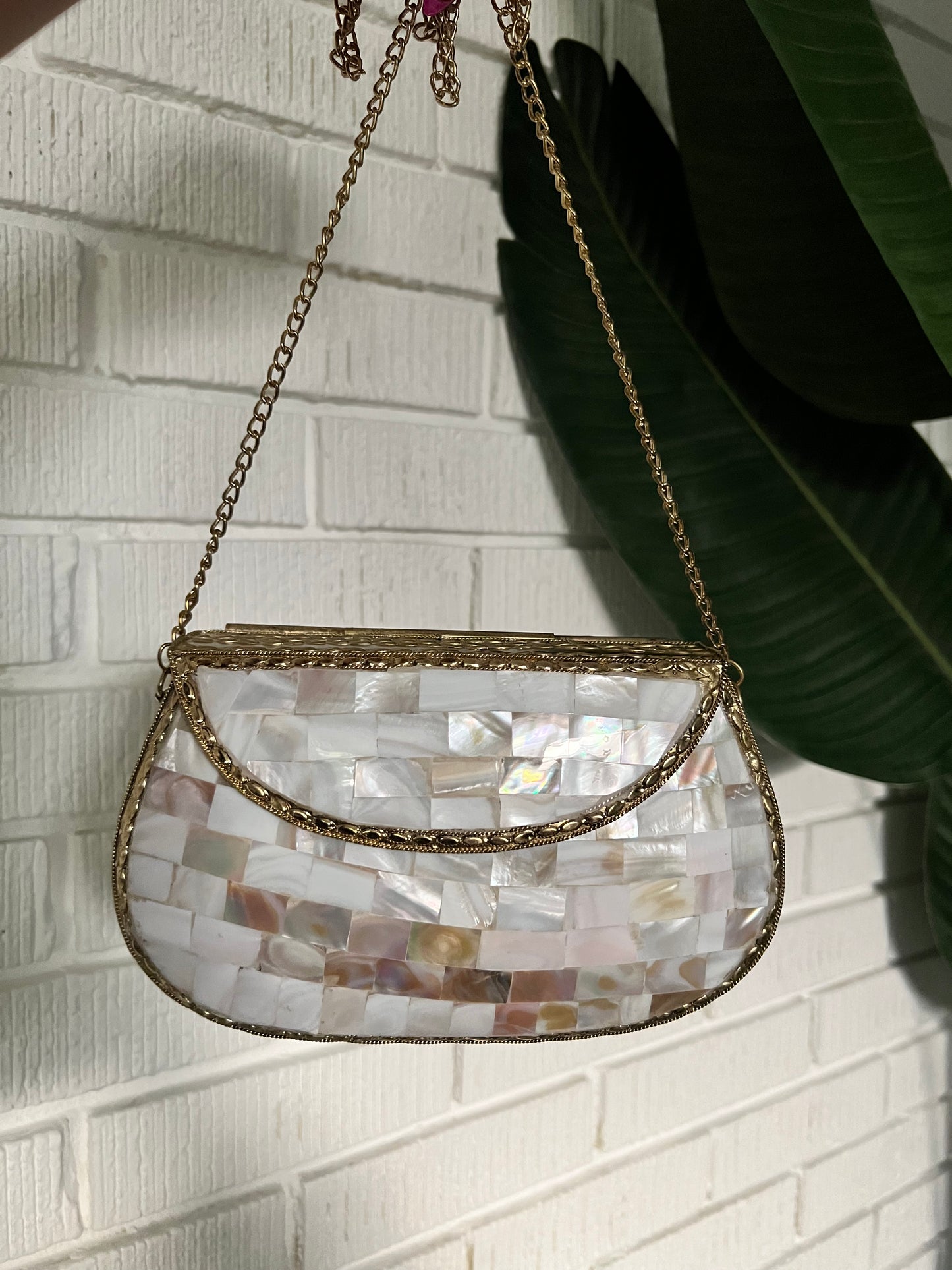 Not Your Mother of Pearl Bag