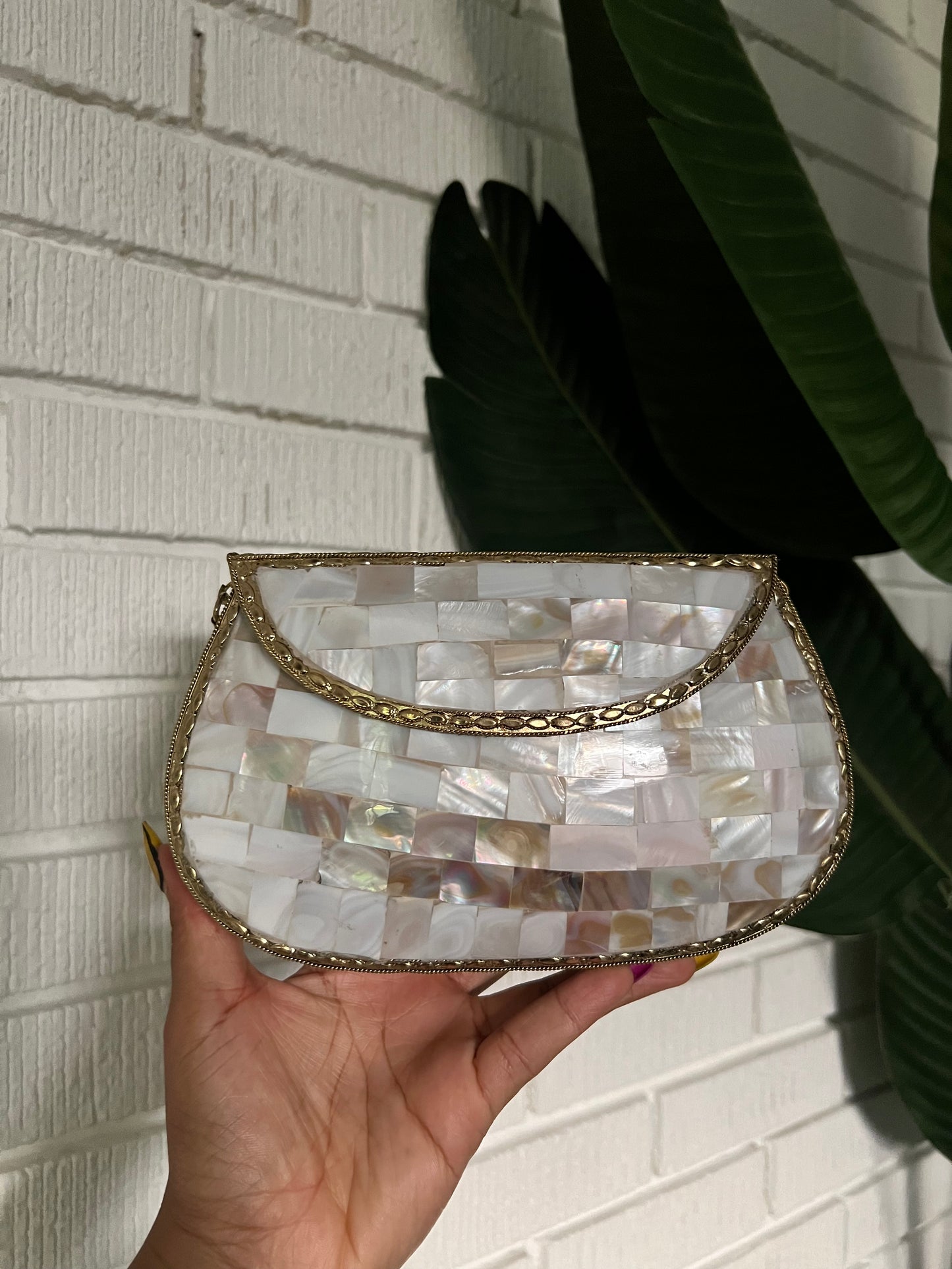 Not Your Mother of Pearl Bag