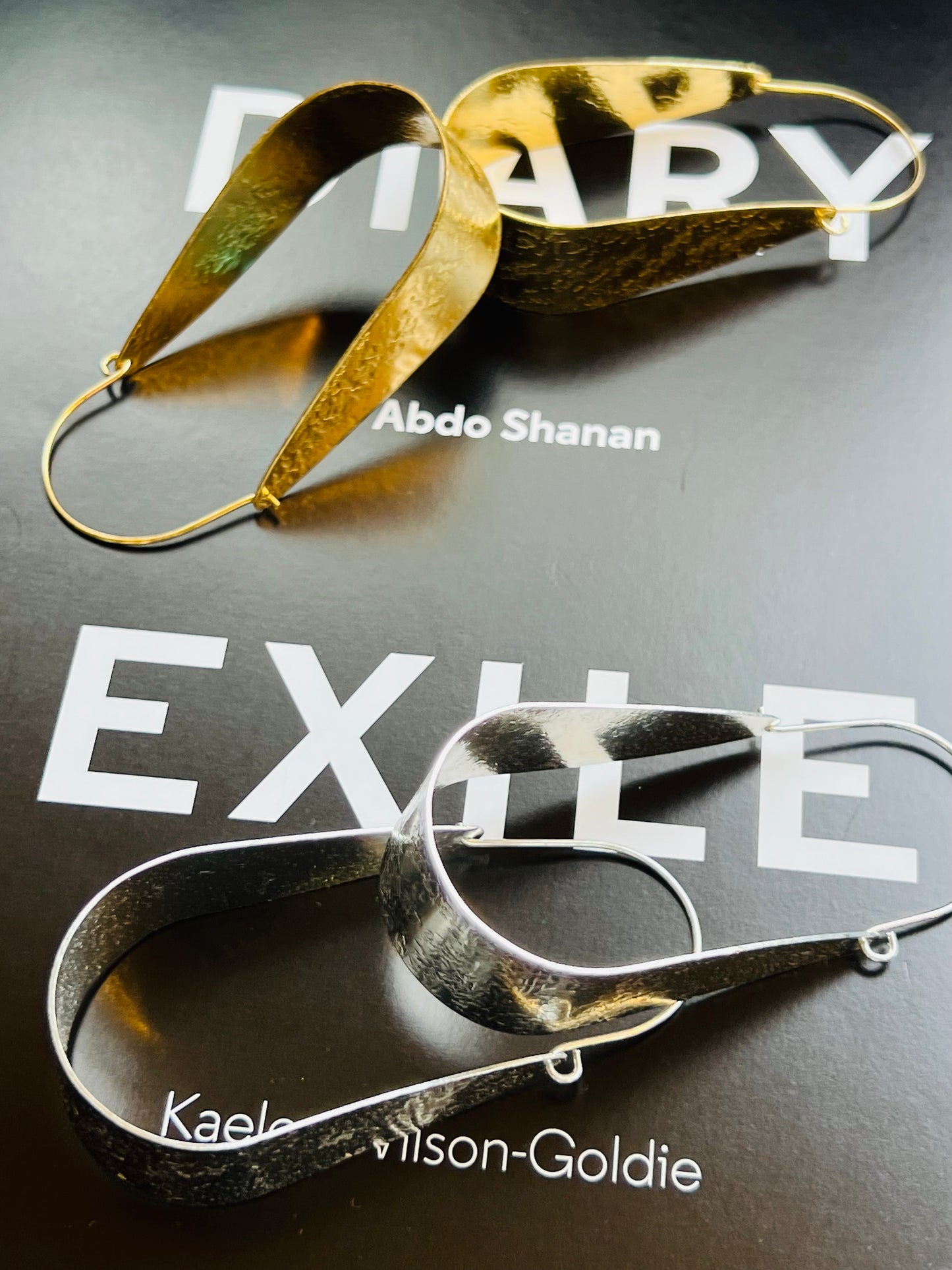 Asha Hoops
